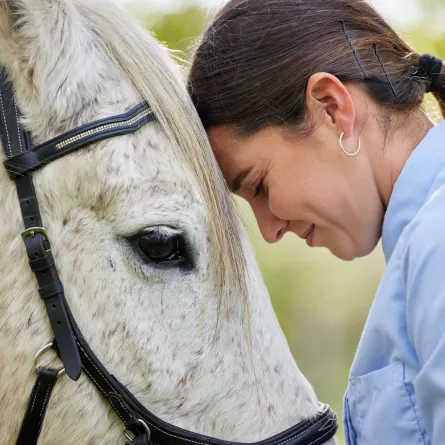 حقائق عن الخيل لم تكونوا تعرفونها