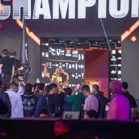 الفنون القتالية