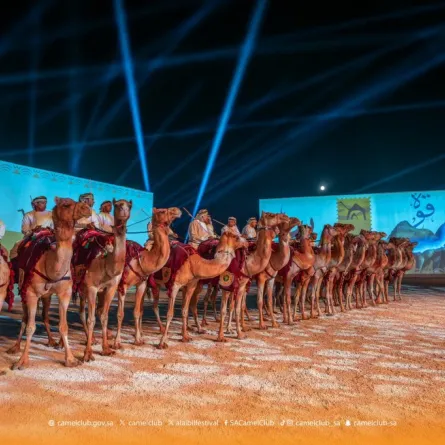 مهرجان "جادة الإبل"