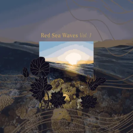 شركة البحر الأحمر الدولية