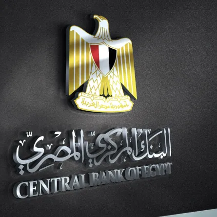 البنك المركزي المصري يجتمع اليوم لحسم مصير الفائدة -الصورة من الموقع الرسمي للبنك المركزي المصري
