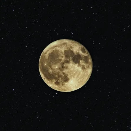 بدر شعبان يرى بالعين المجردة في سماء الوطن العربي - الصورة من unsplash by neven krcmarek