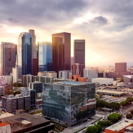 زيارة إلى لوس أنجلوس 