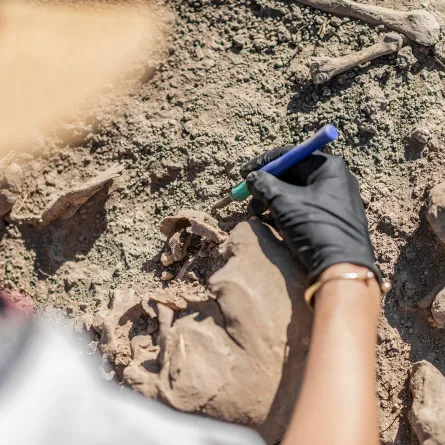 العثور على مومياء غريبة يحير العلماء في بيرو