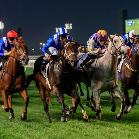 18 بطولة دولية في دبي. الصورة من مكتب دبي الإعلامي