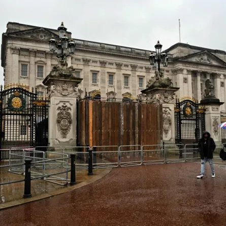 قصر باكنغهام في لندن (Buckingham Palace in London). مصدر الصورة: JUSTIN TALLIS / AFP
