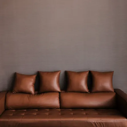 أريكة جلدية بعد التنظيف