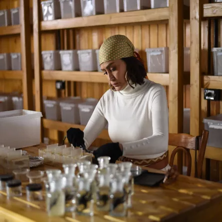 غادة عبد الرازق- الصورة من المكتب الإعلامي للشركة المتحدة