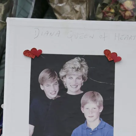 صورة للأميرة ديانا مع ابنيها الأمير ويليام والأمير هاري خارج قصر كنسينغتون في وسط لندن (A photograph of princess Diana with her sons Prince William and Prince Harry outside Kensington Palace in Central London).. مصدر الصورة: Daniel LEAL / AFP