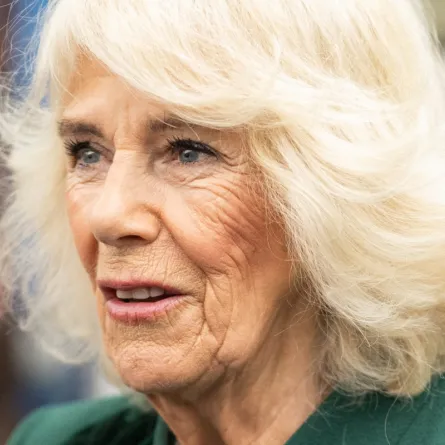 الملكة كاميلا  Queen Camilla  في ايرلندا (مصدر الصورة: Samir Hussein / POOL / AFP)