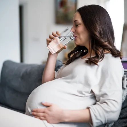 صورة حامل تشرب الماء