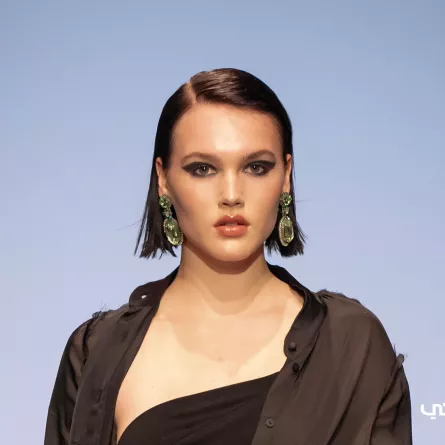 رسمات أيلاينر