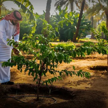 اختيار يوم 27 مارس من كل عام مناسبةً سنويةً توعويةً تحت اسم "يوم مبادرة السعودية الخضراء"