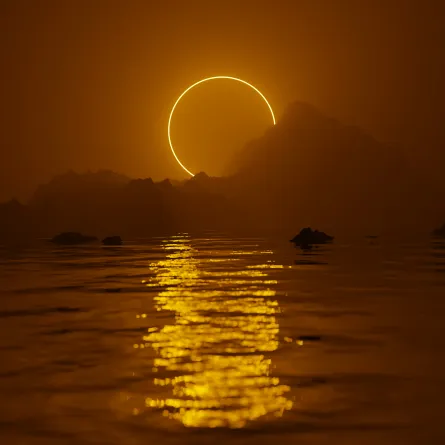 صورة تعبيرية