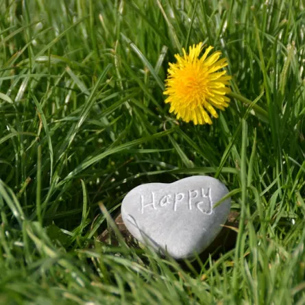 صورة تعبيرية عن السعادة- الصورة من موقع unsplash