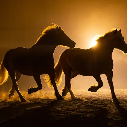  كيف نظرت الحضارات القديمة للخيل؟