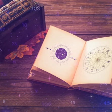 علم الأعداد