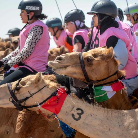 ماراثون رحلة الهجن. الصورة من مركز حمدان لإحياء التراث
