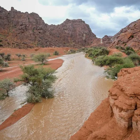 أمطار حائل السعودية