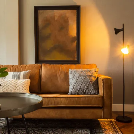 طراز الريترو يسيطر على غرفة المعيشة المزينة بالنبات