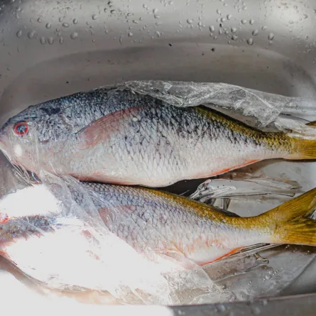 تفسير حلم أكل الفسيخ في المنام