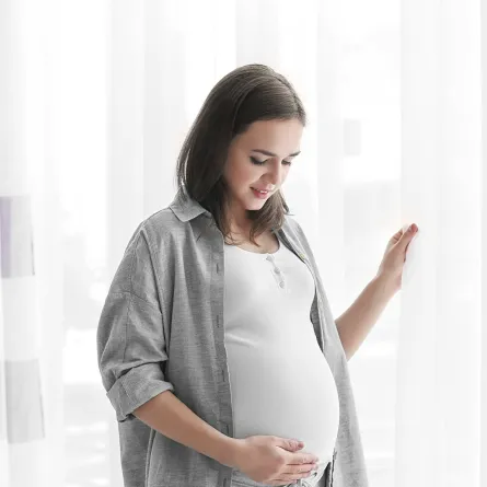 تفسير حلم الحمل في المنام