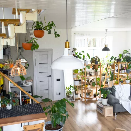 ضعي خطة محددة لتنظيم منزلك بسهولة - Envato