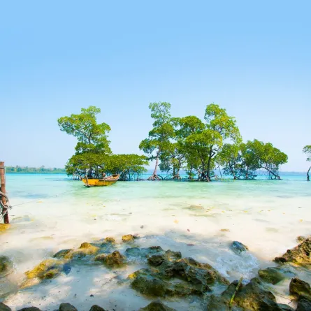 جزيرة هافلوك وجهة مثالية لعشاق الشواطئ