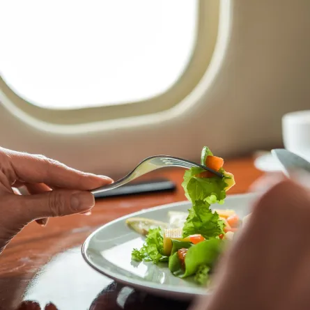 الوجبات المقدمة للمسافرين على متن الطائرة