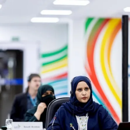 تمكين المرأة