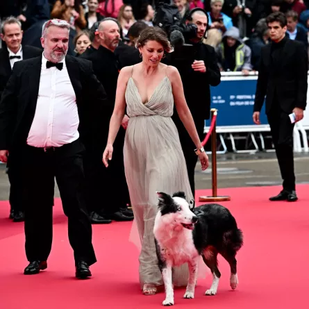ميسي في الدورة الـ77 لمهرجان كان السينمائي في كان بجنوب فرنسا (Messi at the 77th edition of the Cannes Film Festival in Cannes, southern France). مصدر الصورة: LOIC VENANCE / AFP