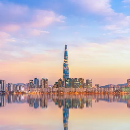 سيول هي عاصمة كوريا الجنوبية 