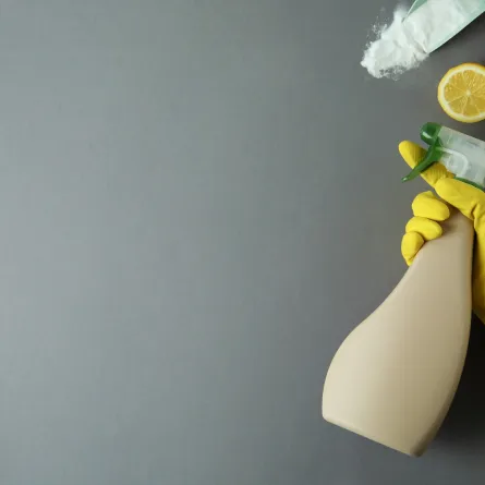 منظفات مستخدمة في أعمال المنزل