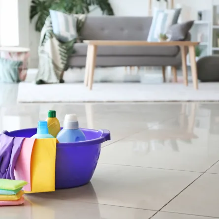 العناية بالمنزل