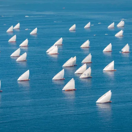 انطلاق سباق دلما - مصدر الصورة وكالة أنباء الإمارات