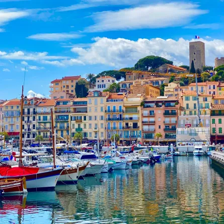 رحلة لا تنسى إلى مدينة كان