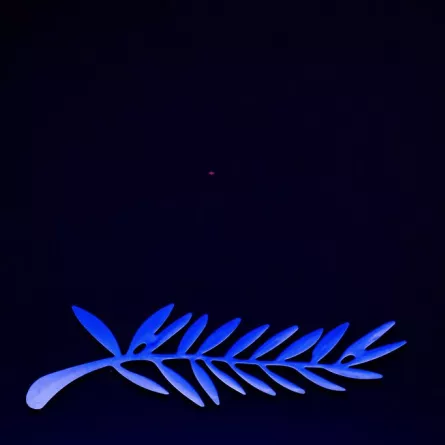 شعار مهرجان كان السينمائي بدورته الـ77 the logo of the 77th edition of the Cannes Film Festival (مصدر الصورة: Antonin THUILLIER / AFP)