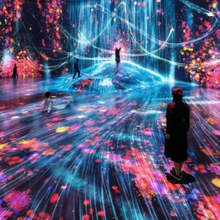 افتتاح متحف تيم لاب بلا حدود بجدة التاريخية.. في هذا الموعد