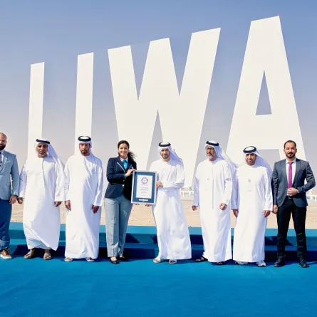 لوحة ليوا - مصدر الصورة وكالة أنباء الإمارات