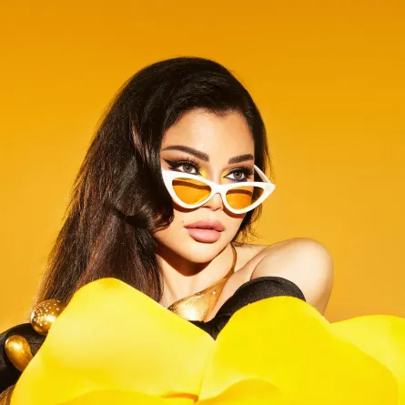 هيفاء وهبي - الصورة من صفحتها الرسمية على الفيس بوك