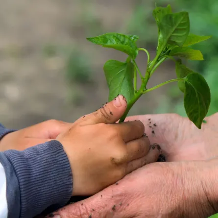 صورة تعبيرية عن حماية البيئة