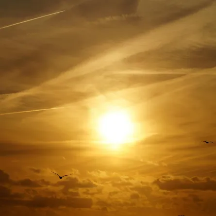 الأرض تستقبل عاصفة شمسية متطرفة حسب وصف العلماء نهاية الأسبوع - الصورة من pexels by eye4dtail