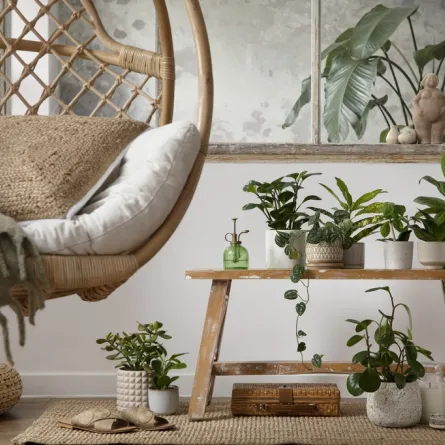 ديكور منزلي مستوحى من الطبيعة