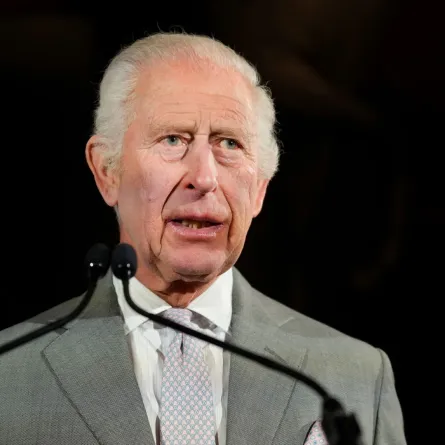 الملك تشارلز الثالث في قصر سانت جيمس بوسط لندن (King Charles III at St James' Palace, in central London). مصدر الصورة: Kirsty Wigglesworth / POOL / AFP