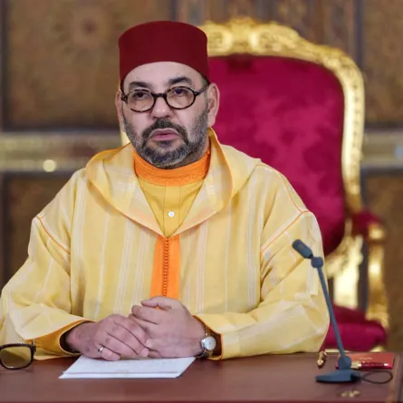 الملك محمد السادس من القصر الملكي شمال شرق مدينة فاس (King Mohammed VI from the Royal Palace in the northeastern city of Fez). مصدر الصورة: Moroccan Royal Palace / AFP
