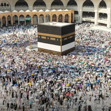 ضيوف الرحمن- الصورة من واس 