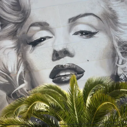 صورة للممثلة الأمريكية مارلين مونرو قبل بدء مهرجان كان السينمائي 2009 (picture of US actress Marilyn Monroe prior to the start of the Cannes film festival 2009. AFP PHOTO VALERY HACHE). مصدر الصورة: Valery HACHE / AFP