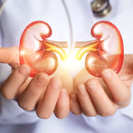 حافظي على صحة الكلى بشرب كميات وفيرة من الماء