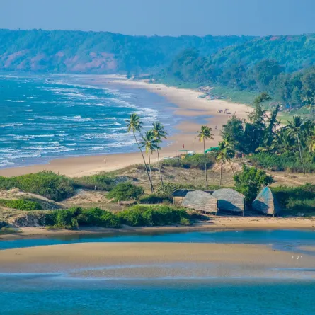 لقطة لشاطئ رملي استوائي في شمال غوا