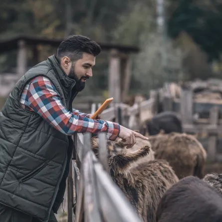 الأضحية من أحب الأعمال الصالحة للمسلم في عيد الأضحى المبارك 